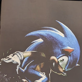 Sonic the Hedgehog #1 Gabriel Delloto Megacon Black foil Exclusive