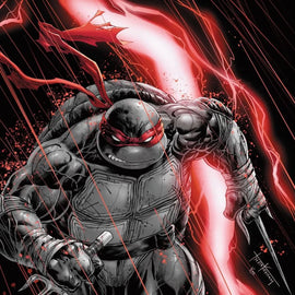 Teenage mutant ninja turtles SDCC #300(#20) color holdTyler Kirkham Raphael